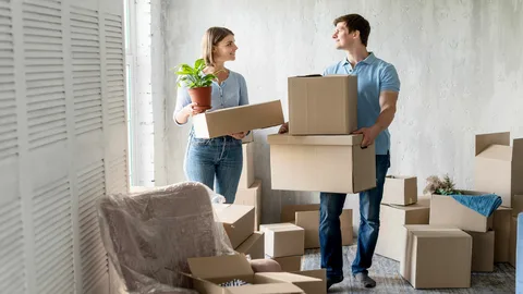 local movers in dubai