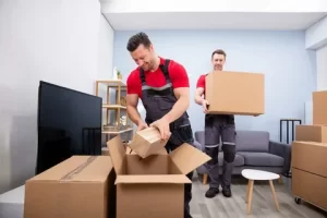 Household packing services