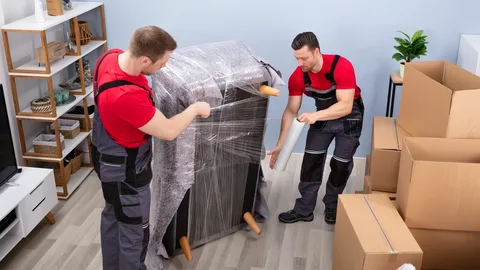 Furniture Movers