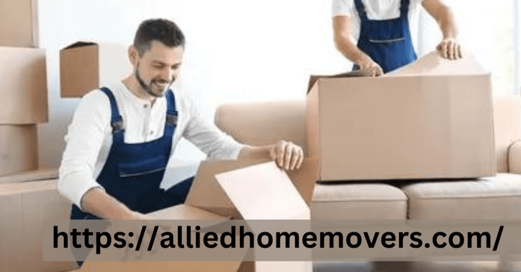 Movers And Packers In Midriff