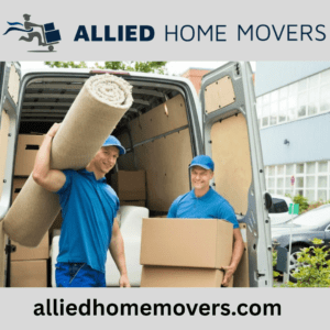 Villa Mover Services