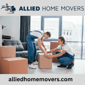 Office Mover and Packer