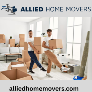 Movers and Packers in International City