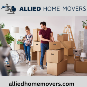Movers and Packers in International City