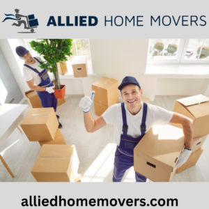 Movers and Packers in International City