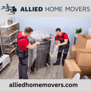 Furniture Mover