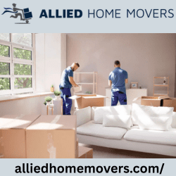 Villa Movers and Packers