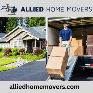 Villa Movers and Packers